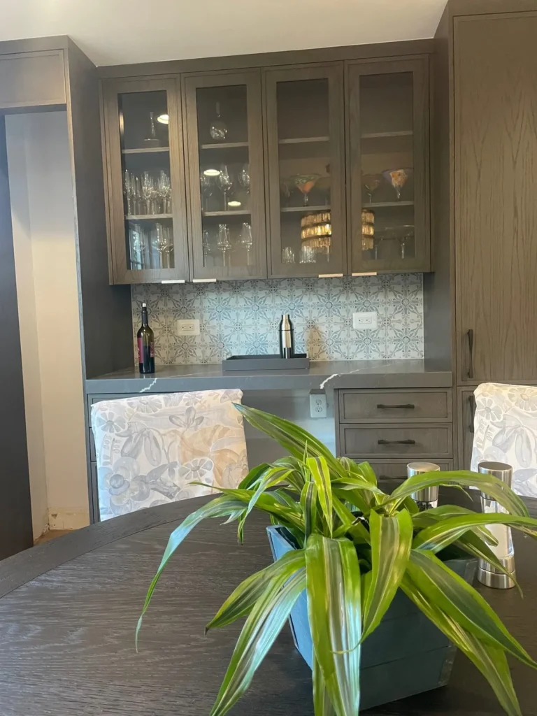 Dark glass-front cabinets above a counter, with a plant on the table in front